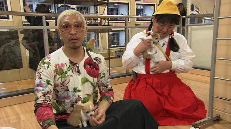 松本人志 雨上がり宮迫ら関西最大級のペットショップでメロメロに お笑いナタリー