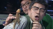 爬虫類におびえる雨上がり決死隊・宮迫(手前)。(c)ABC