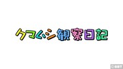 「クマムシ観察日記」ロゴ