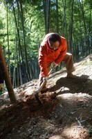 北九州市合馬地区でのロケの様子。(c)NHK