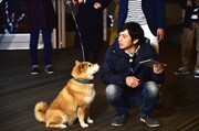 「トコトン掘り下げ隊！生き物にサンキュー!!」に出演するチュートリアル徳井と柴犬まる。(c)TBS