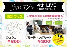 SALTY'sのトレーディングカード「ソルーティングカード」と特製シュシュのイメージ。