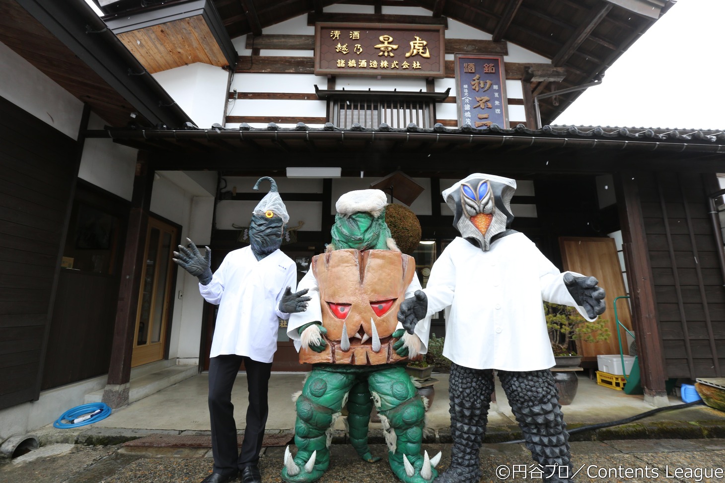 「ウルトラ怪獣散歩 地上波新潟編」イメージ