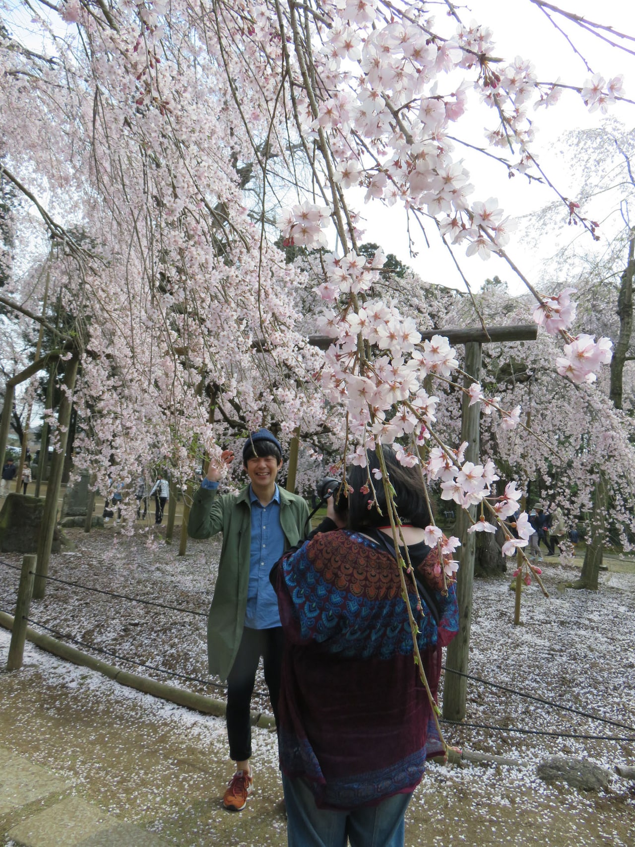 撮影は常澄村で、佐久間一行の芸人人生詰め込んだパンフレット発売