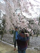 パンフレット用の写真撮影に臨む佐久間一行。