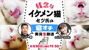 「残念なイケメン猫セツ氏の寝オチ実況生放送」(c)AbemaTV