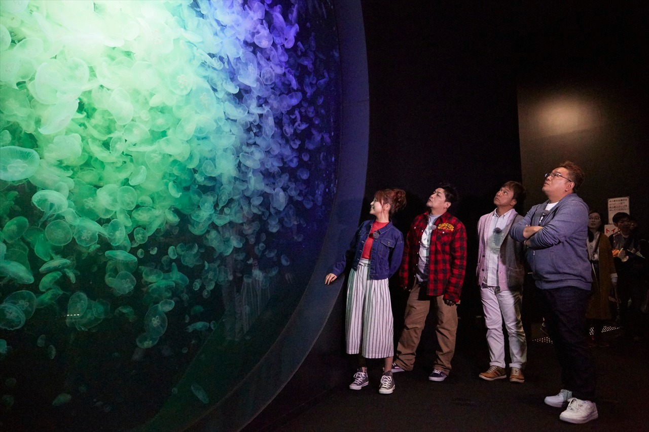 「サンドの仰天！田舎めぐり みちのくなんじゃこりゃ探検隊」のワンシーン。(c)仙台放送