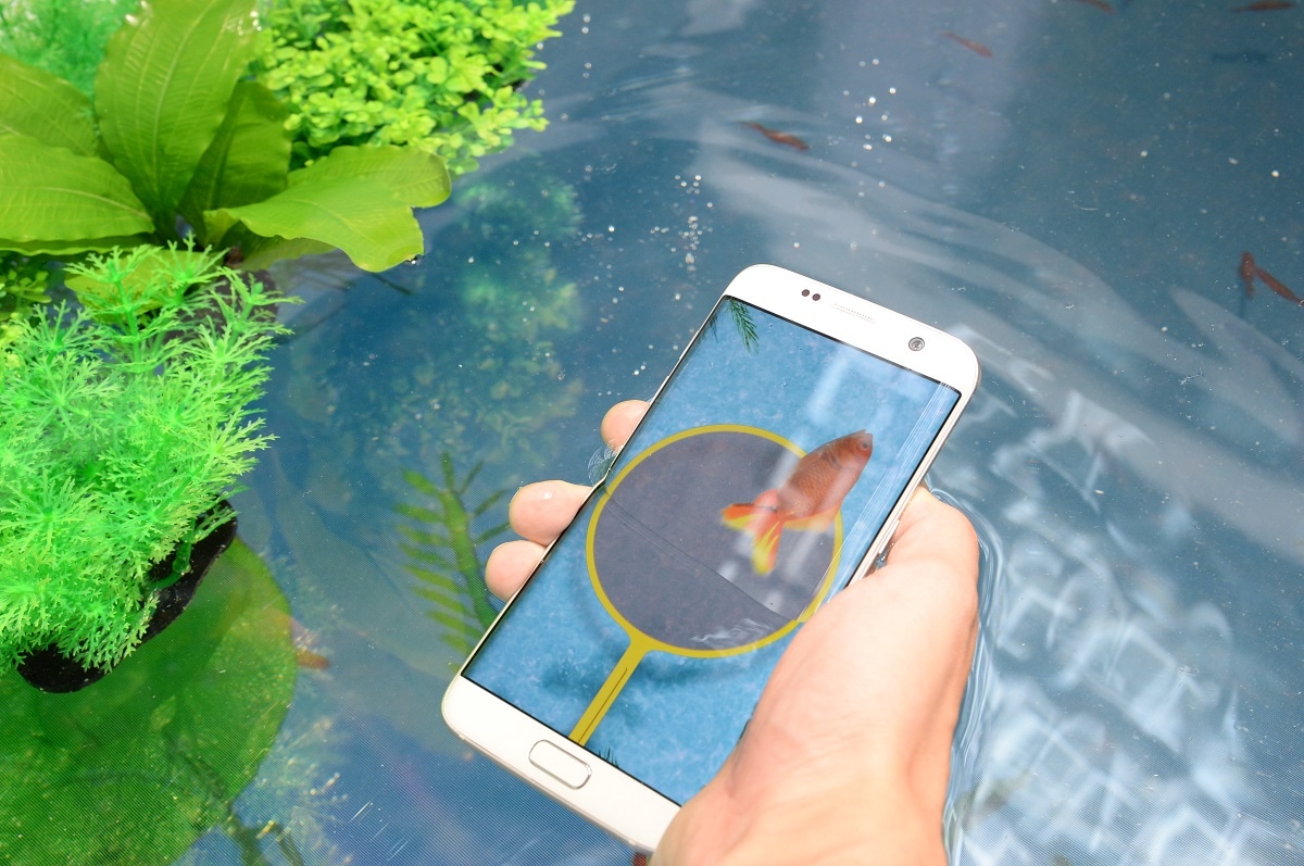 「Galaxy Studio」で体験できるデジタル金魚すくい。