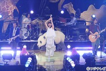 いきものがかり