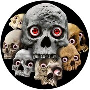 「戦慄!!恐怖のライト5」の「目くらべ」。