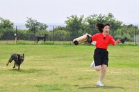 警察犬から逃げる尼神インター誠子。(c)MBS