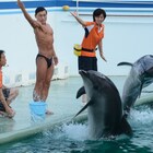 オードリー春日の裸イルカショーにファン大歓声「春日もイルカも本番に強い」