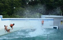 オードリー春日のイルカショーの様子。