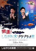 「島田秀平プロデュース 開運！しながわ水ゾクゾクッ！館」チラシ