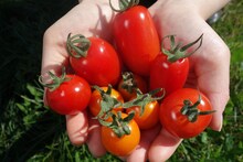 「梅沢富美男＆東野幸治 まんぷく農家メシ！」のワンシーン。(c)NHK