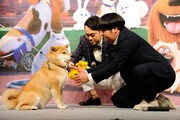「ペット」公開直前プレミアの様子。