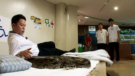 ニシキヘビと添い寝するダイアン津田。(c)関西テレビ