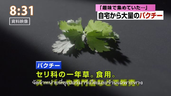 「10神ACTOR VS ワッキー 『パクチー・ヘブン』 Official Music Video」のワンシーン。