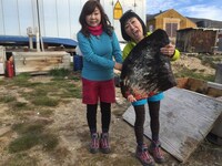 北極圏ロケ中のハイヒール。(c)読売テレビ