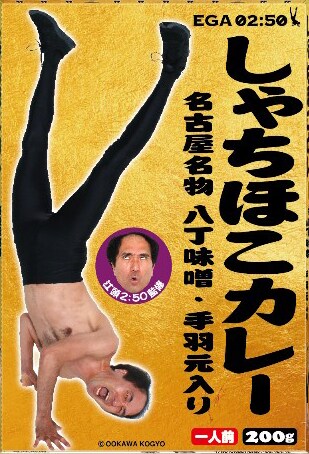 「しゃちほこカレー」パッケージ