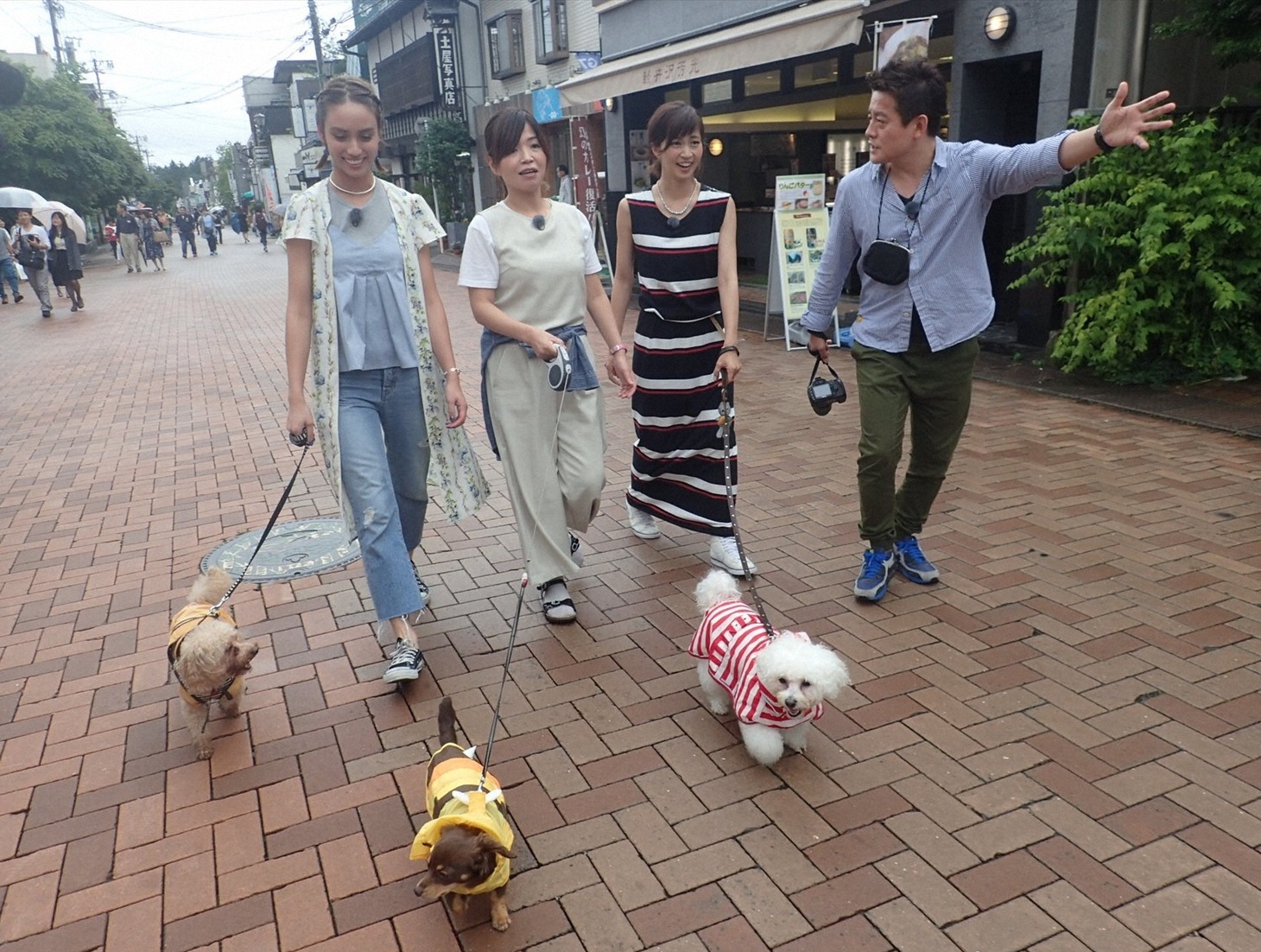 「旅ずきんちゃん」に出演する（左から）滝沢カレン、オアシズ大久保、安田美沙子、スピードワゴン井戸田。(c)CBC