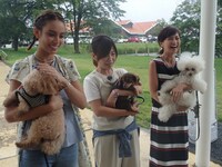 （左から）滝沢カレン、オアシズ大久保、安田美沙子。(c)CBC