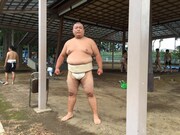 ゆんぼだんぷカシューナッツ