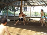 「第1回有宗杯 小相撲8月場所」の様子。