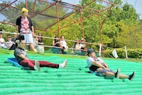 芝すべりに挑戦するミサイルマン。(c)MBS