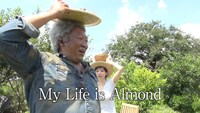 「アーモンド農園 園長篇」のワンシーン。