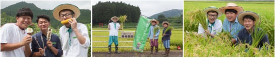 「ロバート馬場農園」での活動の様子。