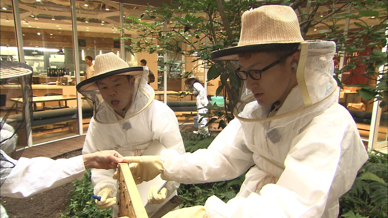 ハチミツを採取するダイアン津田とロバート馬場（左から）。(c)MBS