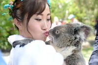 コアラと戯れるキンタロー。。