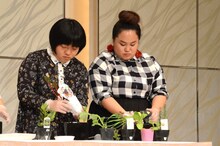 「ベジタブル盆栽」に挑戦するおかずクラブ。