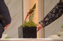 おかずクラブ・オカリナが完成させた「ベジタブル盆栽」。