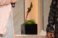 石原和幸に手直しされたおかずクラブ・オカリナの「ベジタブル盆栽」。