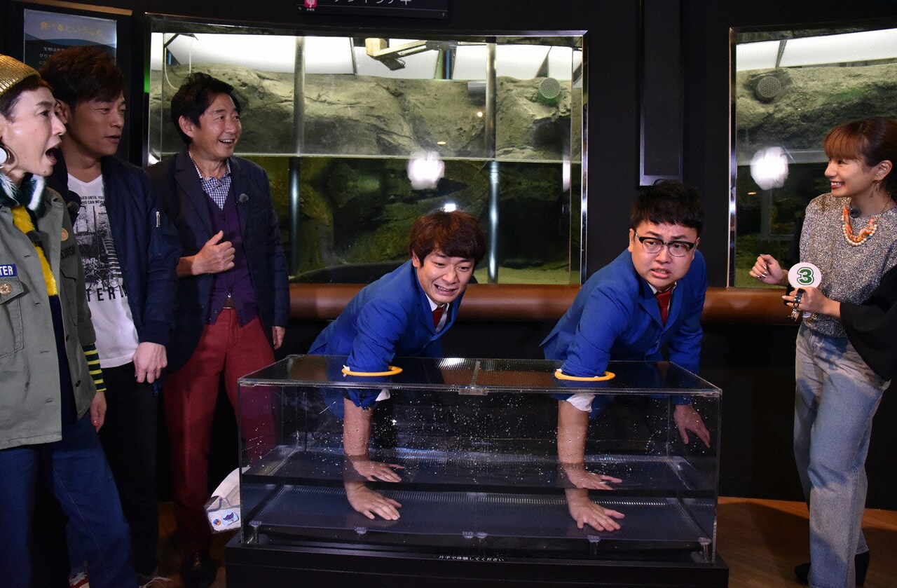 久本＆陣内「日本ワケありツアー！」神戸・淡路島編、水族館には銀シャリも