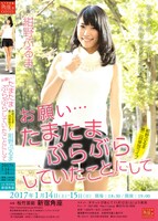 紺野ぶるま単独ライブ「お願い…たまたまぶらぶらしていたことにして」チラシ
