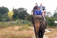 「ポンコツおじさん旅に出る」第4弾のワンシーン。(c)テレビ東京