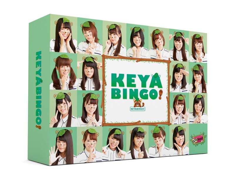 「全力！欅坂46バラエティー KEYABINGO！」BOXセットのパッケージ。