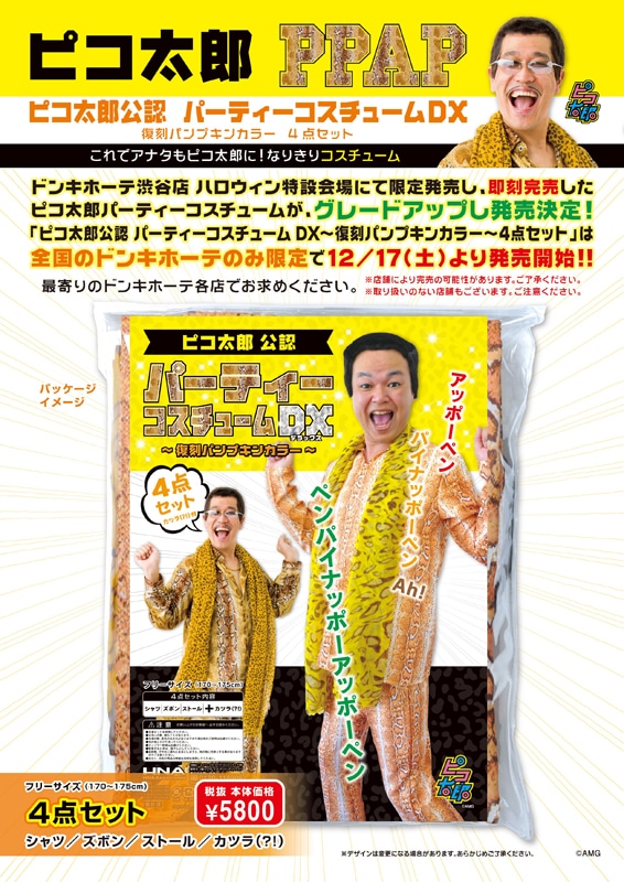 「ピコ太郎公認 パーティーコスチュームDX」イメージ