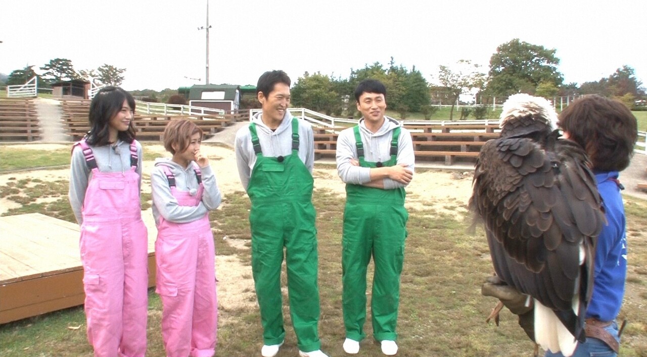 ジュニアと児嶋が動物ツアーで驚き、飯尾は巨大生物捕獲ロケ