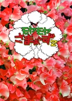 DVDボックス「モヤモヤさまぁ～ず2 DVD-BOX（Vol.28＆29）」ジャケット (c)2017 TV TOKYO