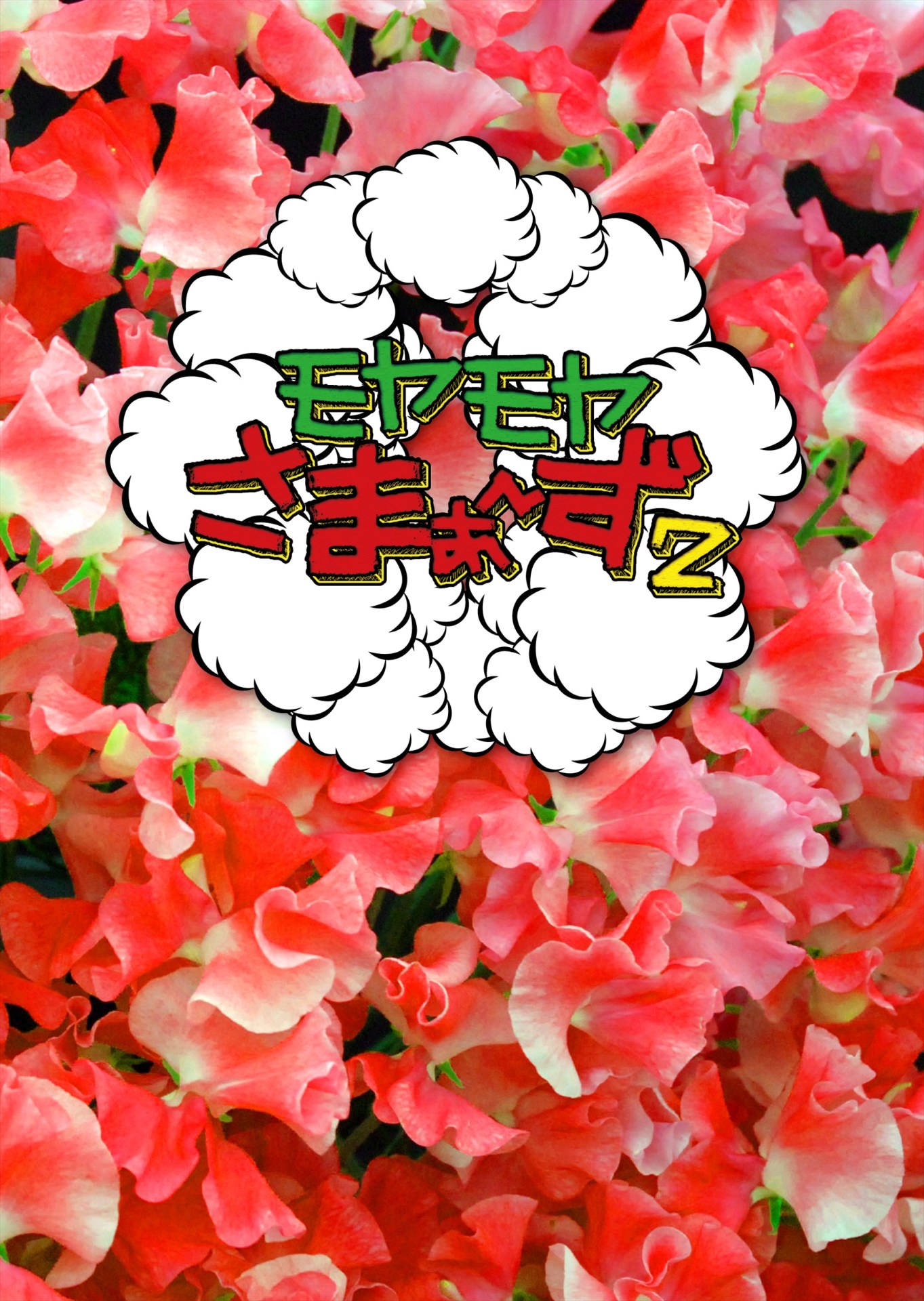 DVDボックス「モヤモヤさまぁ～ず2 DVD-BOX（Vol.28＆29）」ジャケット (c)2017 TV TOKYO