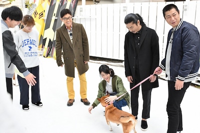 「トコトン掘り下げ隊！生き物にサンキュー!!SP」のワンシーン。(c)TBS