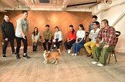「トコトン掘り下げ隊！生き物にサンキュー!!SP」のワンシーン。(c)TBS