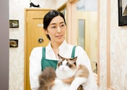 映画「ねこあつめの家」より木村多江出演シーン。(c)2017 Hit-Point/『映画ねこあつめ』製作委員会