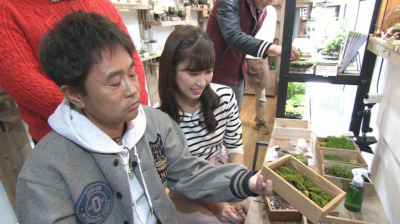 苔テラリウムを作るダウンタウン浜田と玉巻映美アナウンサー。(c)MBS