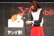 Y!mobileのCMにも出演する猫のふてニャンと、桐谷美玲。