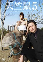 DVD「天竺鼠5」ジャケット